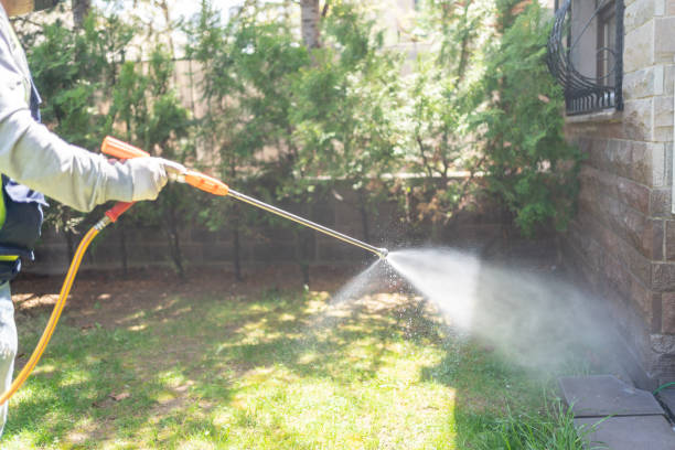 Lawn Pest Control in Monte Vista, CO